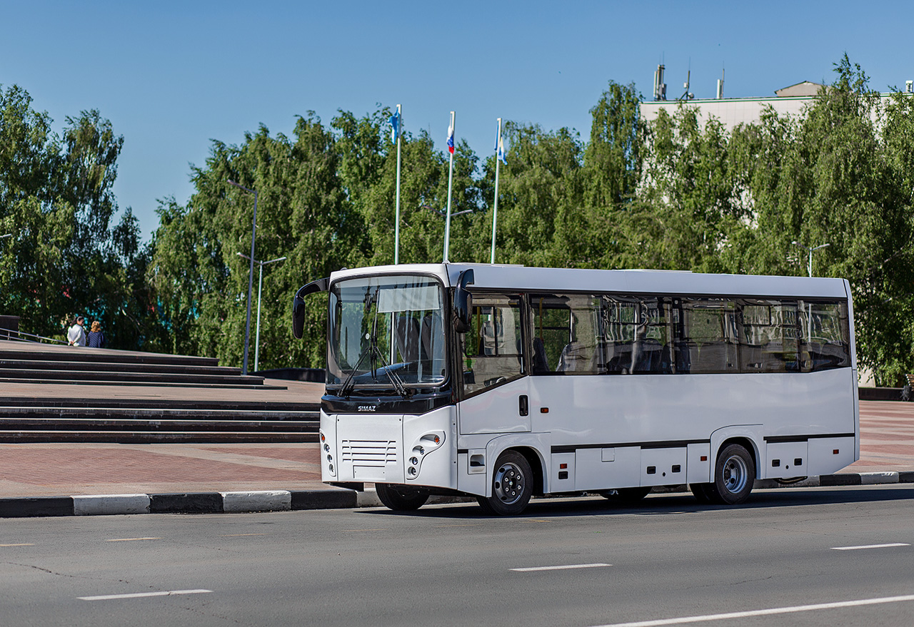 Автобусы