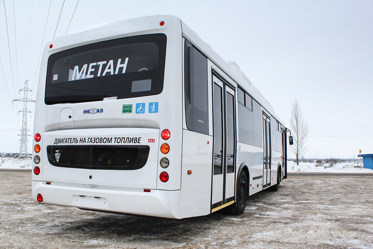 Автобусы