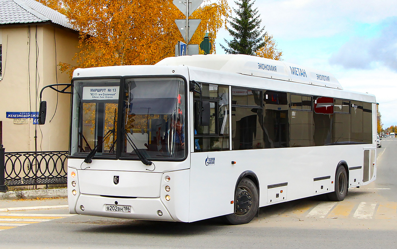 Автобусы